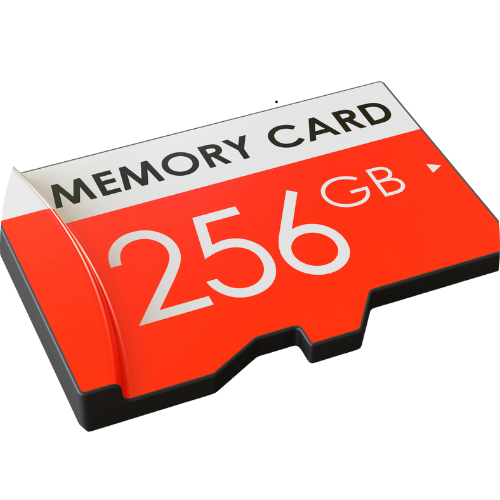 Memory Cards