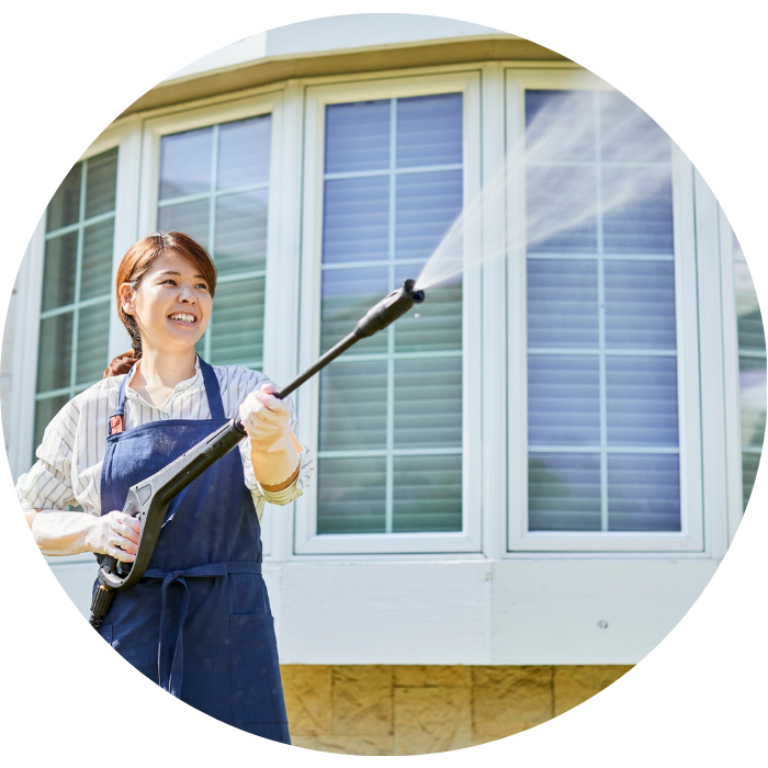 Home Electric Car Wash Gun